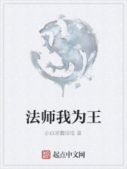 法师我为王