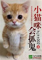 小猫咪抓鬼