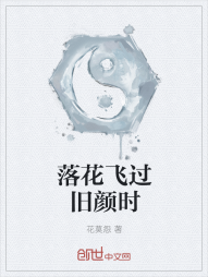 落花飞过旧颜时