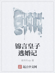 锦言皇子逃婚记